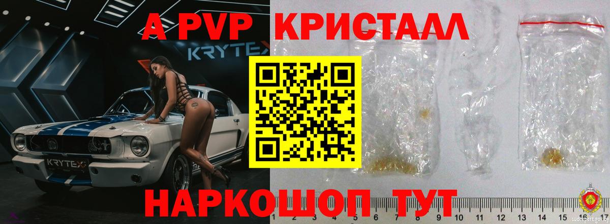 Alpha PVP СК КРИС Курганинск