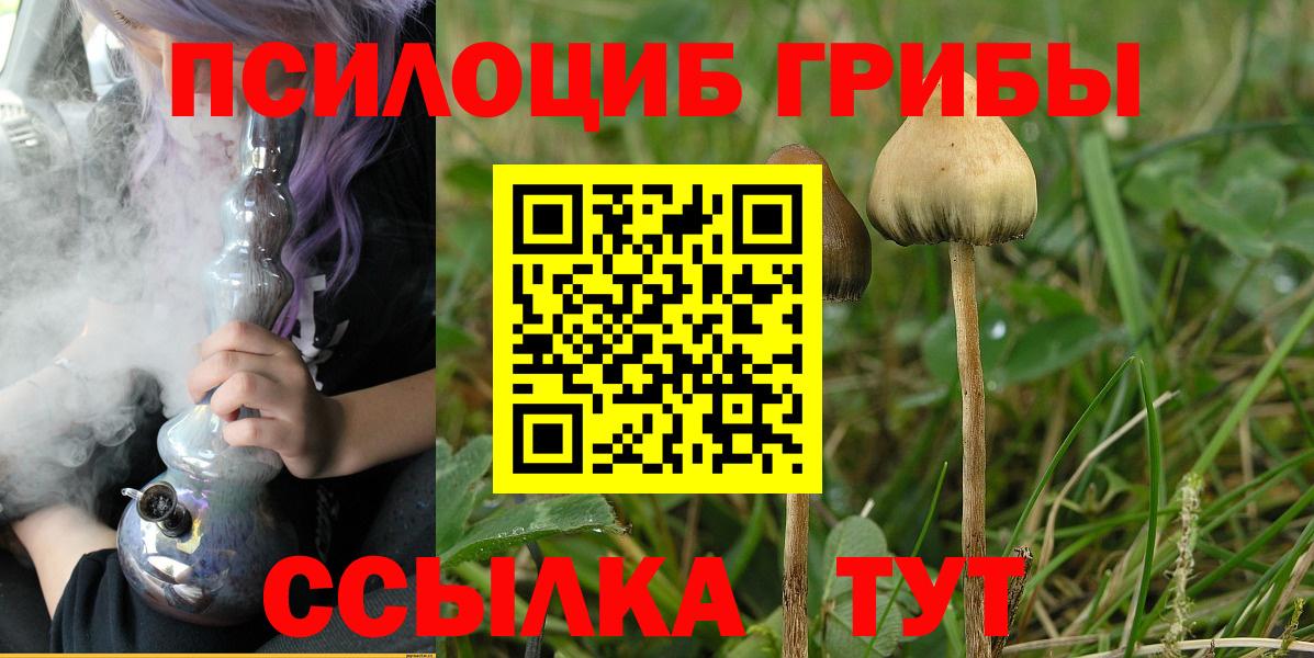 Псилоцибиновые грибы Psilocybine cubensis  Курганинск  Псилоцибиновые грибы Psilocybe 