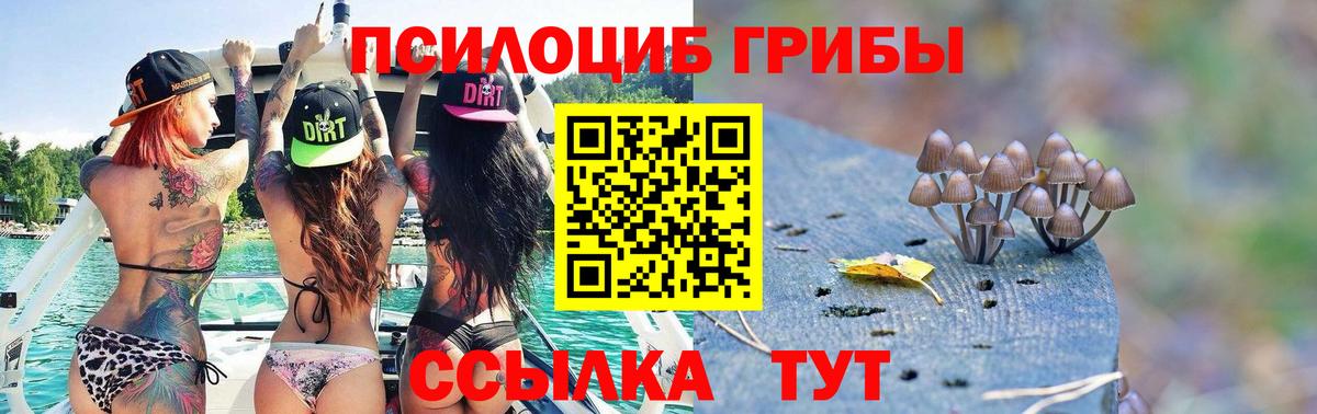 Галлюциногенные грибы Psilocybine cubensis Курганинск